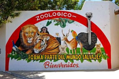 santiago-zoo_4810_r2